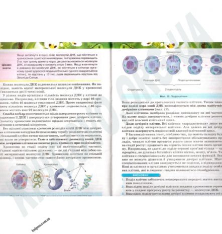 %D0%9F%D1%96%D0%B4%D1%80%D1%83%D1%87%D0%BD%D0%B8%D0%BA+%D0%91%D1%96%D0%BE%D0%BB%D0%BE%D0%B3%D1%96%D1%8F+6+%D0%BA%D0%BB%D0%B0%D1%81+%D0%9D%D0%BE%D0%B2%D0%B0+%D0%BF%D1%80%D0%BE%D0%B3%D1%80%D0%B0%D0%BC%D0%B0+%D0%90%D0%B2%D1%82%3A+%D0%9A%D0%BE%D1%81%D1%82%D1%96%D0%BA%D0%BE%D0%B2+%D0%86.+%D0%92%D0%BE%D0%BB%D0%BE%D0%B3%D1%96%D0%BD+%D0%A1.+%D0%94%D0%BE%D0%B4%D1%8C+%D0%92.+%D0%A1%D0%B8%D0%B2%D0%BE%D0%BB%D0%BE%D0%B1+%D0%90.+%D0%94%D0%BE%D0%B2%D0%B3%D0%B0%D0%BB%D1%8C+%D0%86.+%D0%92%D0%B8%D0%B4-%D0%B2%D0%BE%3A+%D0%9E%D1%81%D0%B2%D1%96%D1%82%D0%B0 - фото 2