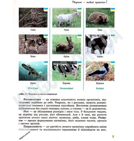 %D0%9F%D1%96%D0%B4%D1%80%D1%83%D1%87%D0%BD%D0%B8%D0%BA+%D0%91%D1%96%D0%BE%D0%BB%D0%BE%D0%B3%D1%96%D1%8F+7+%D0%BA%D0%BB%D0%B0%D1%81+%D0%9D%D0%BE%D0%B2%D0%B0+%D0%BF%D1%80%D0%BE%D0%B3%D1%80%D0%B0%D0%BC%D0%B0+%D0%90%D0%B2%D1%82%3A+%D0%97%D0%B0%D0%BF%D0%BE%D1%80%D0%BE%D0%B6%D0%B5%D1%86%D1%8C+%D0%9D.+%D0%92%D0%B8%D0%B4-%D0%B2%D0%BE%3A+%D0%A0%D0%B0%D0%BD%D0%BE%D0%BA - фото 2