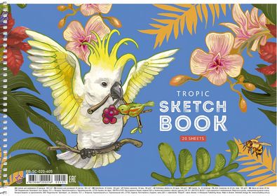 Альбом для малювання, спiраль, 20арк., 100г/м2, Star (PB-SC-020-405, Вибірковий УФ-лак)