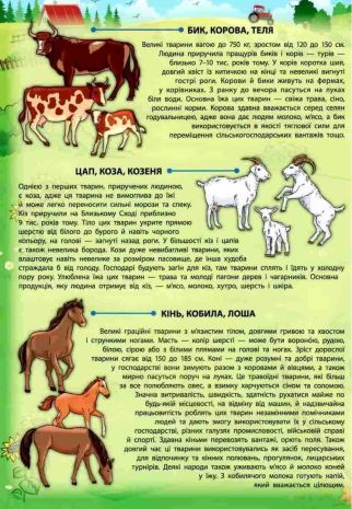 %D0%95%D0%BD%D1%86%D0%B8%D0%BA%D0%BB%D0%BE%D0%BF%D0%B5%D0%B4%D1%96%D1%8F+%D0%B7+%D0%BD%D0%B0%D0%BB%D1%96%D0%BF%D0%BA%D0%B0%D0%BC%D0%B8.+%D0%A1%D0%B2%D1%96%D0%B9%D1%81%D1%8C%D0%BA%D1%96+%D1%82%D0%B2%D0%B0%D1%80%D0%B8%D0%BD%D0%B8+%2F+%D0%A3%D0%9B%D0%90+%2F+ISBN+978-966-28-4502-0 - фото 3