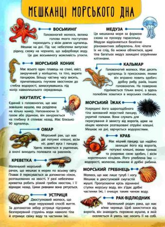 %D0%95%D0%BD%D1%86%D0%B8%D0%BA%D0%BB%D0%BE%D0%BF%D0%B5%D0%B4%D1%96%D1%8F+%D0%B7+%D0%BD%D0%B0%D0%BB%D1%96%D0%BF%D0%BA%D0%B0%D0%BC%D0%B8.+%D0%9C%D0%B5%D1%88%D0%BA%D0%B0%D0%BD%D1%86%D1%96+%D0%BC%D0%BE%D1%80%D1%96%D0%B2+%D1%82%D0%B0+%D0%BE%D0%BA%D0%B5%D0%B0%D0%BD%D1%96%D0%B2+%2F+%D0%A3%D0%9B%D0%90+%2F+ISBN+978-966-28-4501-3 - фото 3